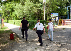 В Камышине полиция задержала 19-летнюю хулиганку-драчунью