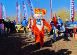 Зарядка, танцевальный флешмоб и подарки на финише - камышанам понравился День ходьбы