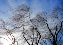 Под Камышином 73-летнего водителя мопеда "унесло ветром"