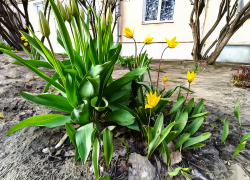 Каспийский циклон принес камышанам ливни и похолодание: тепла можно не ждать до конца апреля