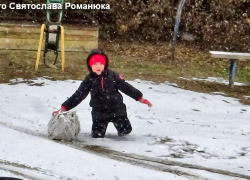 Мокрый снег возвращается в Волгоградскую область, когда его ждать камышанам?