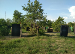 В парке Текстильщиков одни отдыхающие наслаждаются природой, другие остерегаются "расстегнутых личностей в кустах"