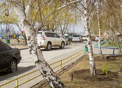В Камышине пример в уборке еще до общегородского субботника показывают товарищества собственников жилья, но...