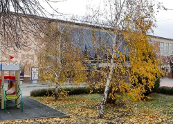 Геомагнитные вихри будут испытывать камышан 29 ноября