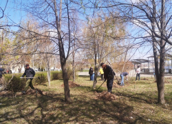 Камышинская городская дума отчиталась об участии в  субботнике 22 апреля снимками, на которых ни одного депутата с граблями нельзя узнать