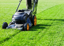 Нетрезвый "эстет" трижды стрелял в женщину из-за шума газонокосоилки