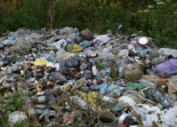 Нарушителей экологии на Черной гряде в Камышине будет "ловить" видеокамера