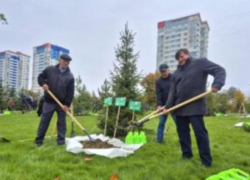 В волгоградском сквере династий теперь растет дерево, высаженное камышанами Юмагуловыми