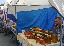 Администрация Камышина решила "ударить" по сезонным хворям медовой ярмаркой