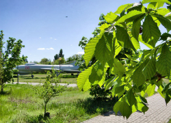 Синоптики заявили камышанам, что свежие июльские ночи закончились, и впереди опять духота