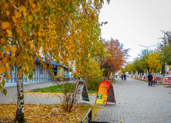 Отличные солнечные дни дарит природа камышанам на праздники