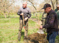 Читатели "Блокнота Камышина" помогут определить рейтинги депутатов городской думы, которых захотят или нет видеть своими избранниками вновь