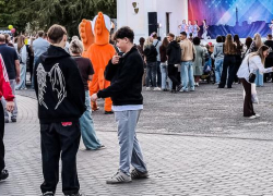 Куда отправят камышинских школьников, пока в учебные дни в их школах будет идти голосование?