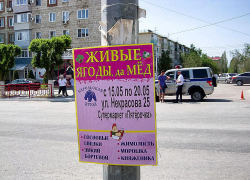 Почему в Камышине никто не хочет бороться с модой прибивать рекламу на столбы? - камышанка