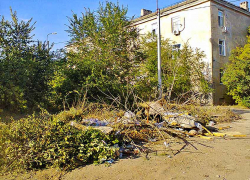 С 1 декабря для камышан вырастет "мусорный" тариф