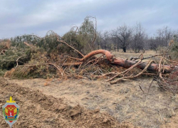 ФСБ задержан волгоградский чиновник за крупный ущерб России: все произошло в Камышинском районе 