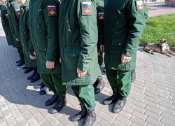 В Камышине с завтрашнего дня, 1, апреля начнется очередной призыв в армию