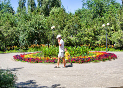 В Волгоградской области отцов решили уравнять в правах с матерями при получении пособий на ребенка, - "Блокнот - Волгограда"