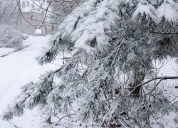 Погибшего в СВО камышанина Дмитрия Михайлова похоронят в родном городе