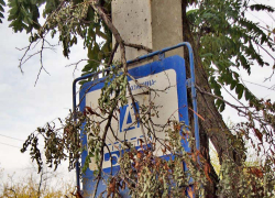 А ветку никто не хочет снять с остановочной вывески в Камышине на улице Текстильной? - камышанка