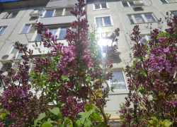 Яркое солнце и +23: погода в Камышине на Пасху