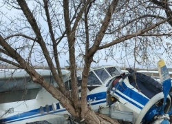 МАК назвал причину падения АН-2 под Камышином минувшей весной
