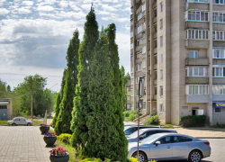 Какие многоквартирные дома в Камышине коммунальщики оставят без электричества завтра, 2 июля