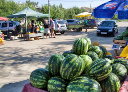 В Камышине арбузы подешевели до 25-ти рублей за килограмм
