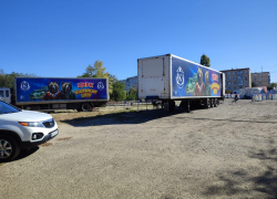 В Камышине в бухте появился "бродячий цирк", по центральным улицам "поехала" реклама, но есть нюанс