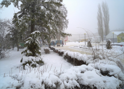 Крепкие морозы "сообщили", что они никуда не ушли из Камышина: погодная повестка на 10 февраля