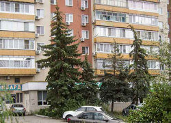 Задержанный полицейскими гражданин шел с "букетом конопли", который нарвал в городе