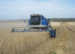 В администрации Камышинского района одну из двух первых должностей хотят "передать по наследству"?