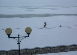 "Отважные" камышане ловят рыбу на Волге в 50 метрах от берега