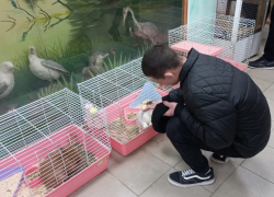 Воспитанники Камышинской ВК поощрены выездом за пределы исправительного учреждения