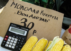 "Французская" кукуруза с неизвестной географией произрастания подешевела в Камышине