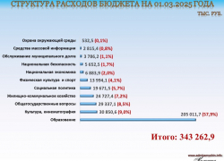Ничто не может остановить администрацию Станислава Зинченко в "забеге" по финансированию "газеты племянницы" в 2025 году "с низкого старта"