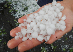 ГУ МЧС предупредило о дожде с градом в регионе предстоящей ночью