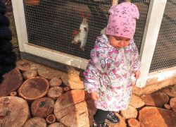 Камышанам выплачивают региональный материнский капитал - на какого по счету ребенка и какую сумму?