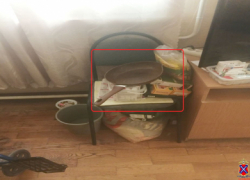 Нетрезвая фигурантка уголовного дела обрушила на голову пенсионерки удары сковородой