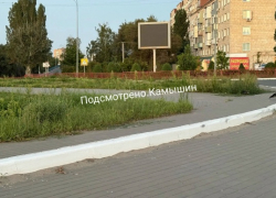 Камышане предположили, что сорную траву, которой зарос город, уберут к Арбузному фестивалю