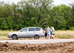 В леса камышан не пустят под угрозой штрафа как минимум пол-августа