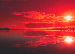 В Камышине на улице Терешковой обнаружен труп 48-летнего мужчины