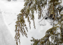Целого состояния лишилась пенсионерка из Палласовки под давлением мошенников