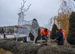 В Камышине установили светящегося оленя высотой в 5 метров, теперь для него облагораживают площадку
