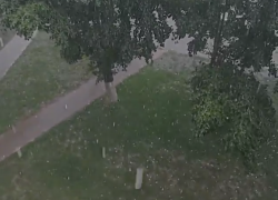 Сорванный шифер и поваленные деревья: последствия шторма разгребают 18 июля в Михайловке (ВИДЕО)