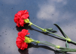 Камышане Василий Смурыгин и Василий Рогов погибли при выполнении воинского долга в СВО