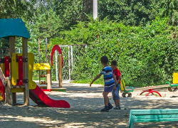 Как в Камышине "отмечали" Всемирный день борьбы с бешенством