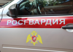 Сотрудниками Росгвардии в Камышине задержан преступник, объявленный в федеральный розыск