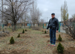 Символ твердости, стойкости, бессмертия, светлой памяти - в Камышине у школы №19 появилась зеленая "линия" в память о герое СВО Максиме Ивченко