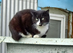 В Камышине сегодня, 7 декабря, будет тепло и солнечно